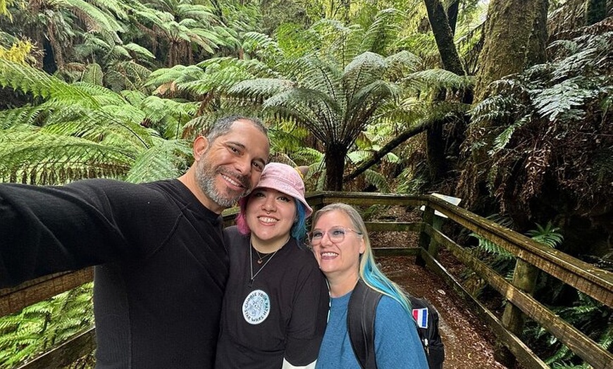 Image 22: Great Ocean Road Tour Reverse –SML GRP-DLUX Mini Bus Hotel Pickup