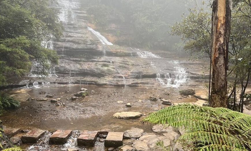 Image 4: Blue Mountains Day Trip + Sydney Zoo +Three Sisters + Waterfalls