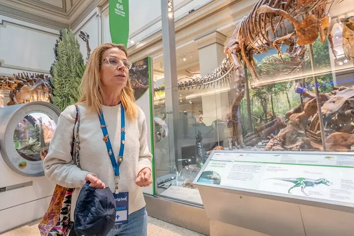 Smithsonian Highlights Walking Tour w/ Reserved Air & Space Entry
