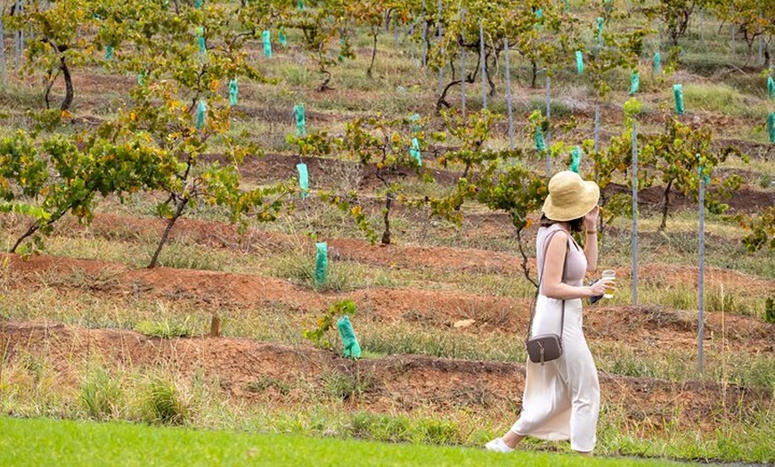 Image 6: Hunter Valley All Inclusive, Wine, Chocolate Tasting and Lunch