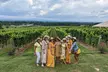 3 Vineyard Tour of the Yadkin Valley - Second Medium