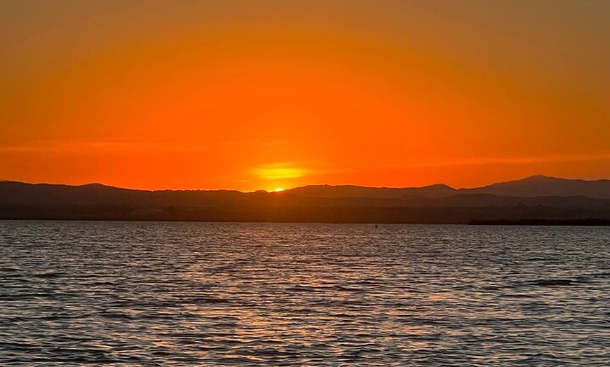 Image 5: Desde Valencia: Paseo En Barca En La Albufera + Paella Incluido