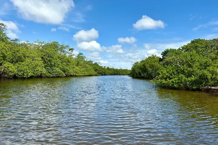 Fort Lauderdale: Kayak/SUP on Mangroves w/ Snacks & Drinks