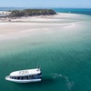 Image 1: Great Sandy Straits Seven Island Ultimate Wildlife Cruise