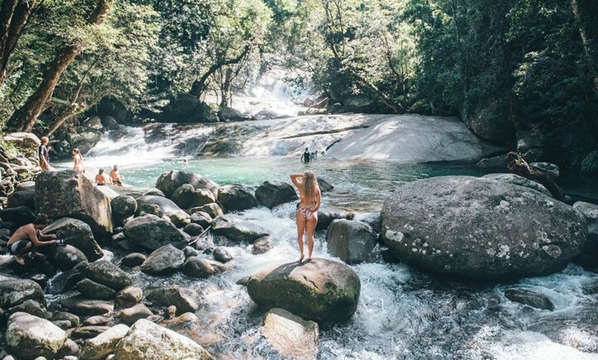Image 5: Shore Excursion: Josephine Falls Half Day Adventure
