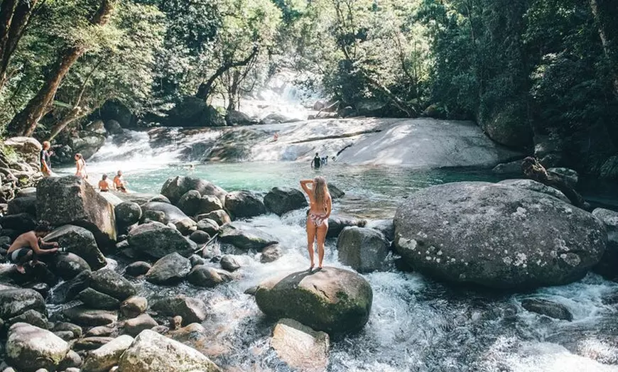 Image 12: Waterfalls and Rainforest Tour from Cairns