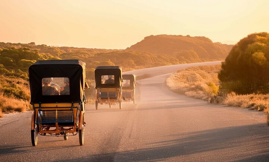 Image 9: Rottnest Island 90-minute E-Rickshaw Adventure with Tour Guide