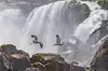 2-Hour Wildlife & Nature River Cruise on the Beautiful Willamette