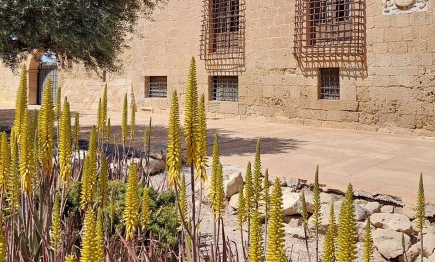 Image 11: Tour en bicicleta alrededor de Alicante