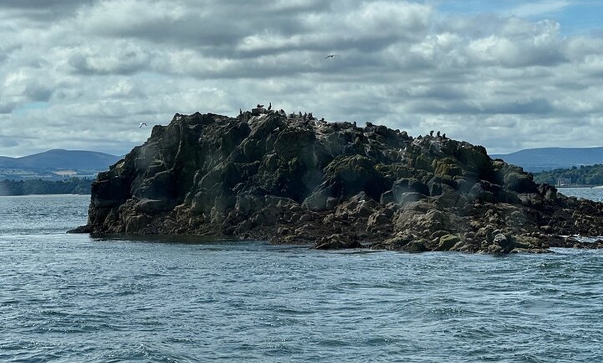 Image 30: Private Edinburgh Full Day Guided Tour in a Black Cab LEVC TX