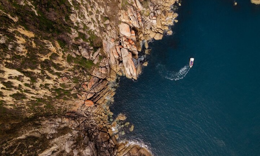 Image 8: Whale Watching Cruise from Tidal River