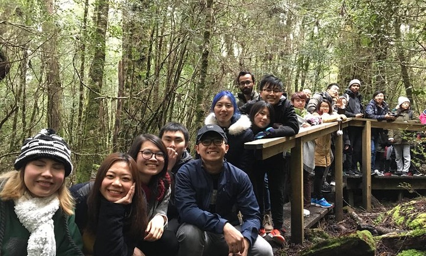 Image 6: Cradle Mountain - Hobart to Launceston Day Tour