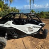 Image 2: Luxury UTV rentals and guided tours through San Juan P R