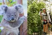 Currumbin Wildlife Sanctuary Pass + The Treetop Challenge - Image 5