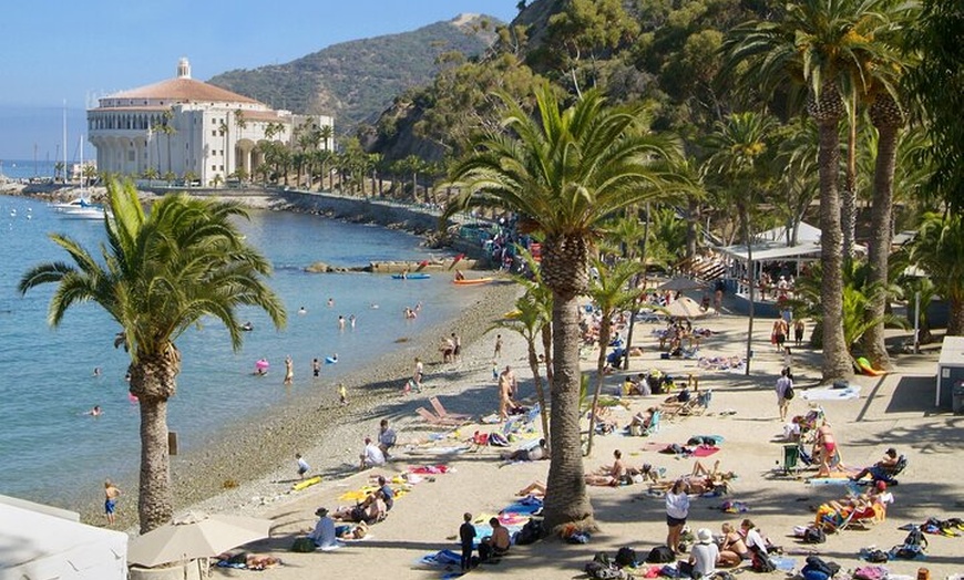 Image 6: Catalina Island Day Trip from Los Angeles with Optional Upgrades