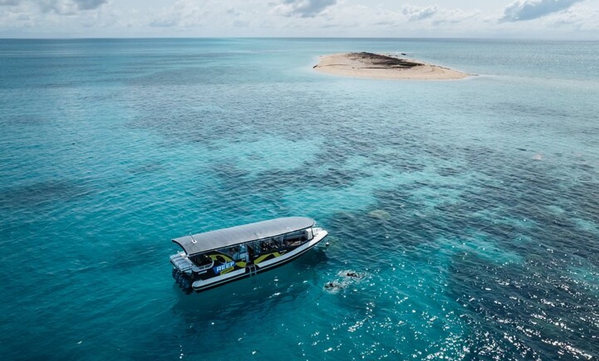Image 6: Great Barrier Reef Small Group Snorkelling Adventure
