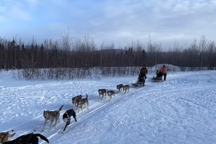 2-Hour Basic Dog Mushing School (without transportation)