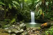 El Yunque Rainforest Guided Tour - Second Medium