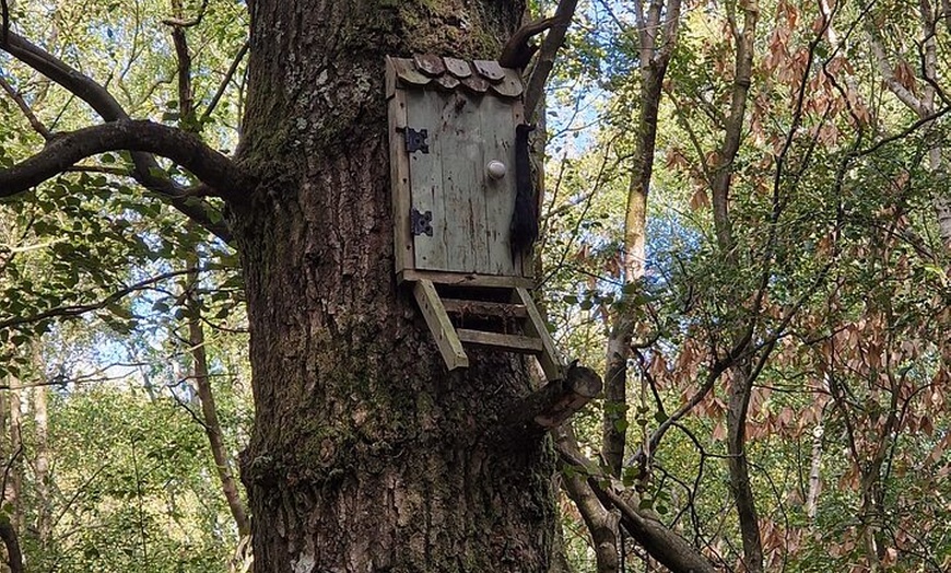 Image 8: From London Winnie the Poohs Hundred Acre Wood