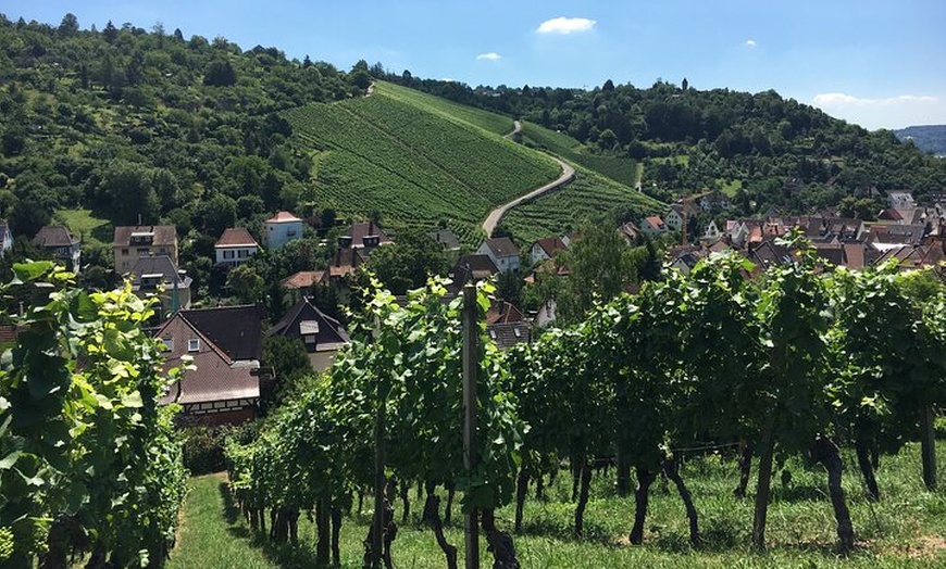Image 11: Private Stuttgart Stadtrundfahrt mit lizenziertem Fortgeschrittener...