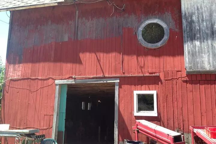 Niagara Falls USA and Underground Railroad Heritage Tour