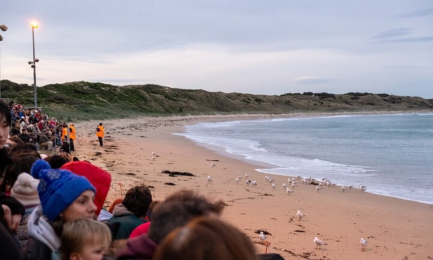 Image 18: Full-Day Phillip Island Tour with Kangaroo, Koala and Penguin Parade