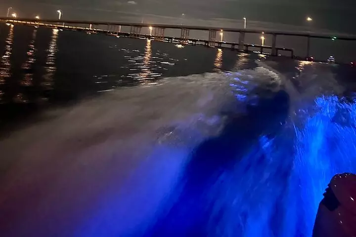 Explore Miami by Boat Rental