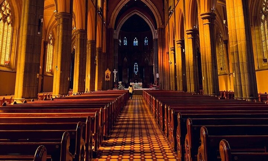 Image 10: Best of Melbourne City & Wildlife Sanctuary for Cruise Passengers