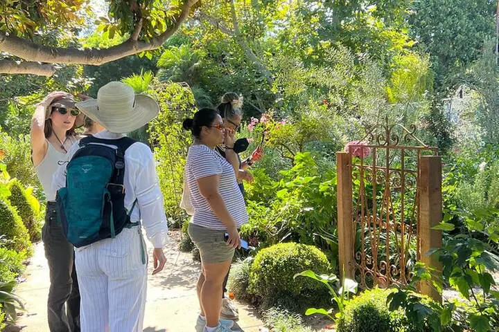 Discover Santa Monica's Lush Gardens, Trees & Neighborhoods - Second Medium