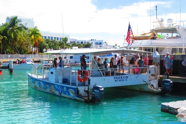 Shark and Wildlife Viewing Adventure in Key West