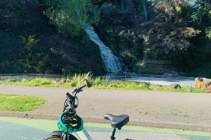 Summer of Love San Francisco Guided eBike Tour Golden Gate Park