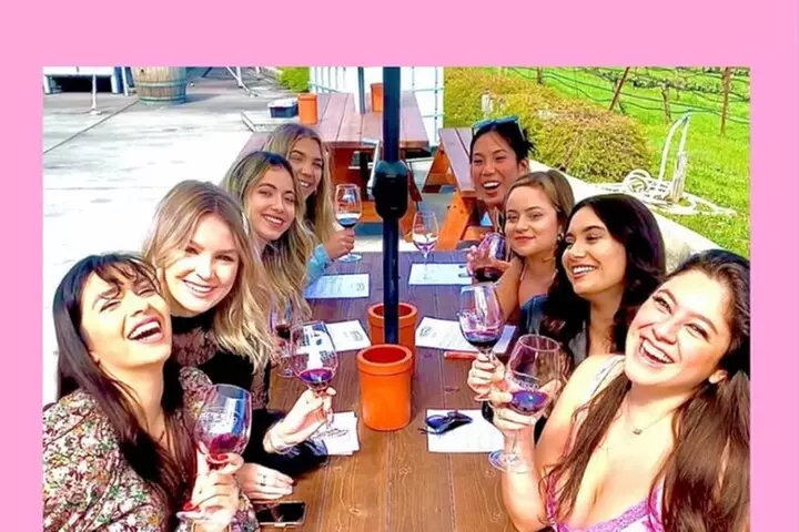 Painted Ladies Wine Country Tour