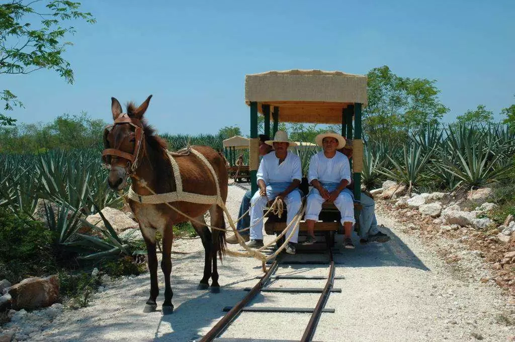 ✈ MESSICO | Yucatan - Lo Yucatán in hacienda 4*, 9 notti - Viaggio ...
