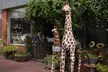 Senoia The Walking Dead Film locations 2 hours Walking Tour - Second Medium