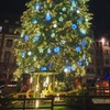 Image 1: Strasbourg : Visite Marché de Noël | Guide officiel agréé
