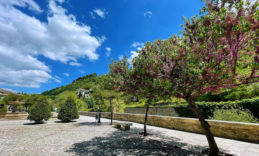 Image 7: Caza del carroñero de Granada autoguiada