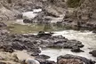 Yellowstone River Trail via Lollie's Trail Naturalist Day Hike - Second Medium