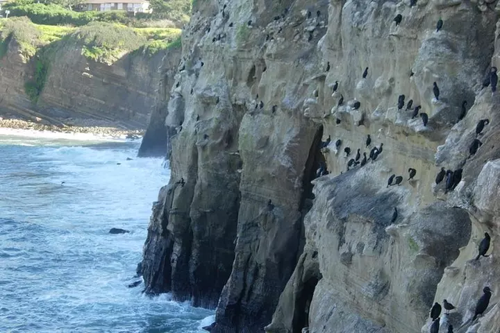 La Jolla Sea Caves Kayak Tour For Two (Tandem Kayak)