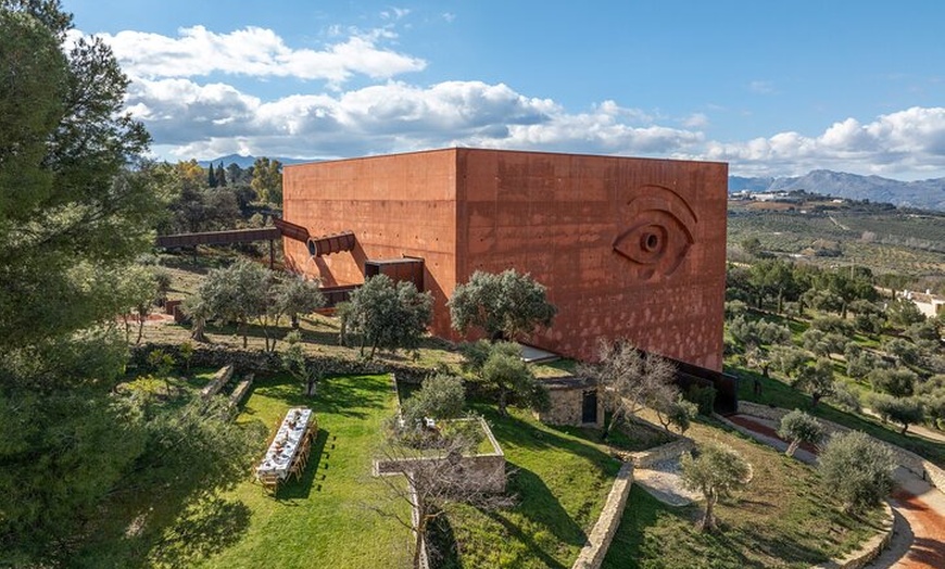 Image 3: LA Almazara Aceite de Oliva y Degustación con Audioguía