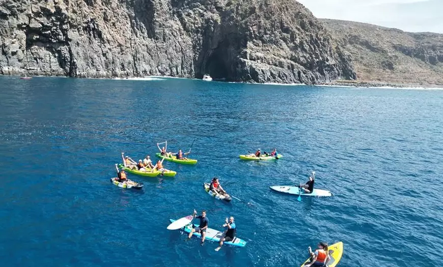 Image 3: Avistamiento de Tortugas y Delfines de Tour de Kayak y Snorkeling