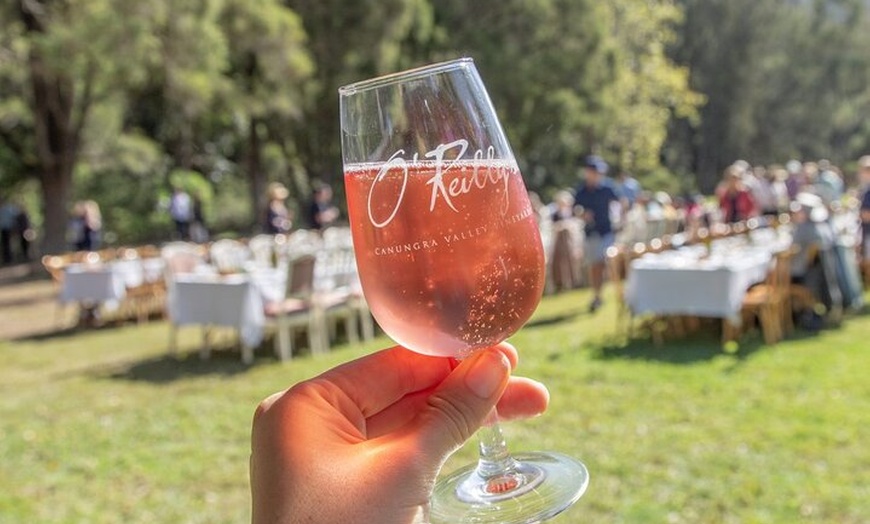 Image 6: Lamington Day Tour O'Reilly's Treetop, Wildlife and Wine Tasting
