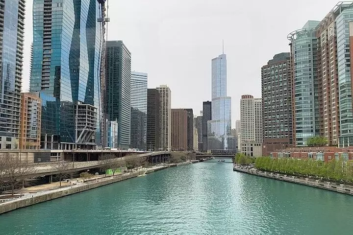 Luxury Minibus Chicago City Tour