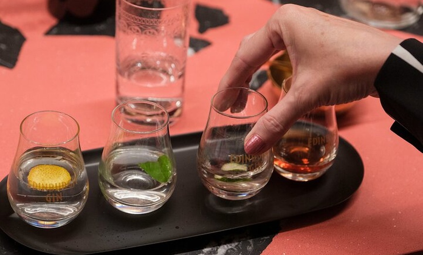 Image 3: Edinburgh Gin The Classic Tour & tasting