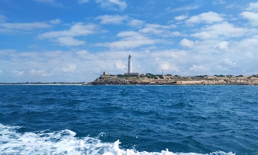 Image 12: Tour Privado en Barco por Trafalgar,Cádiz con Aperitivo y Snorkel