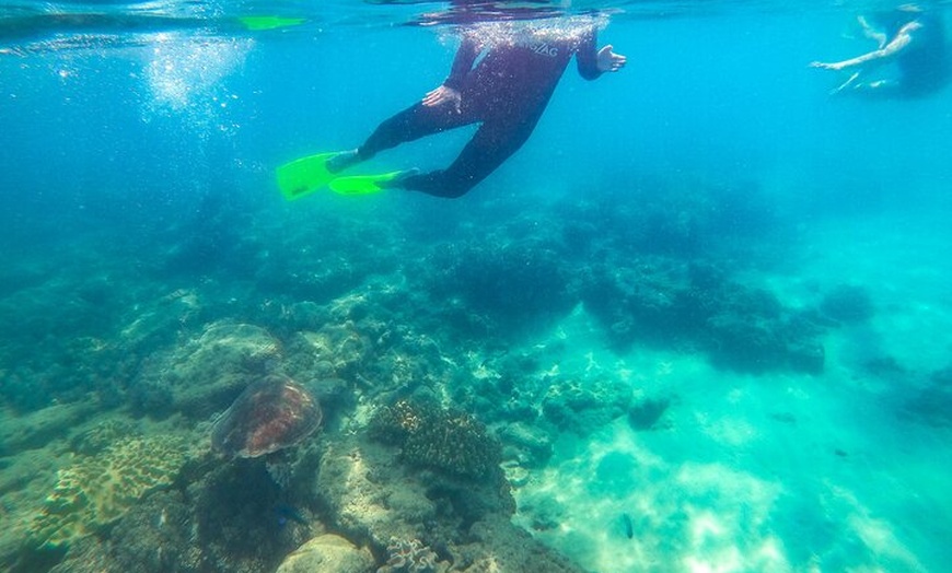 Image 39: Whitsundays Whitehaven Beach Tour: Beaches, Lookouts and Snorkel