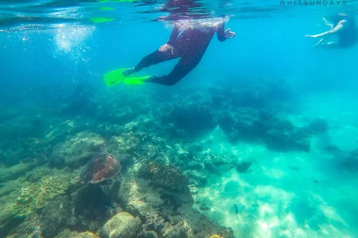 Whitehaven Beach Tour: 2 Options - All Day Beach Or Snorkel