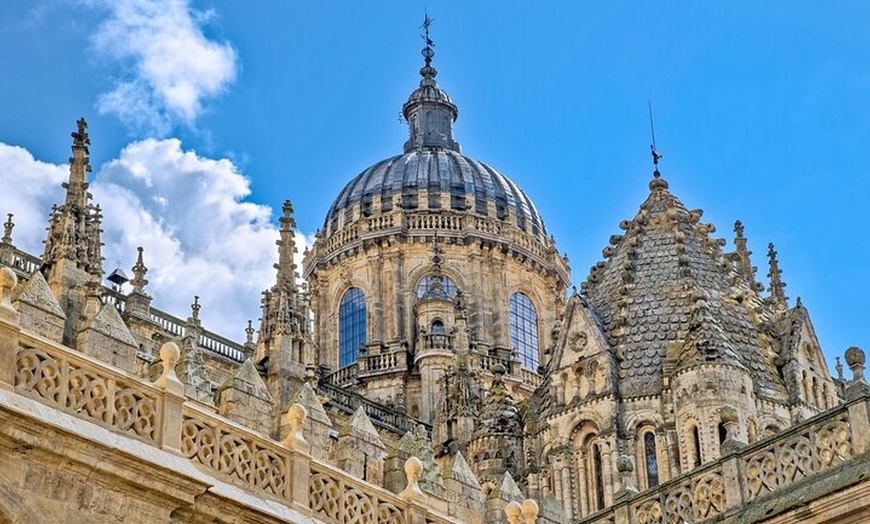 Image 3: Tour de lujo Salamanca y Jamón Ibérico desde Madrid