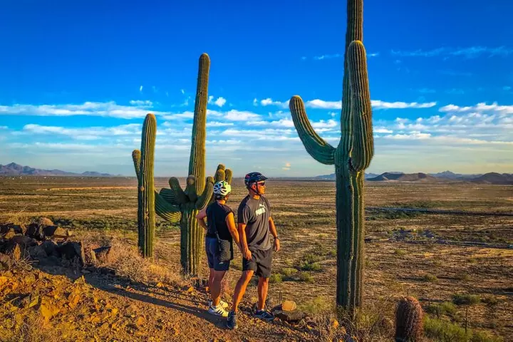 Arizona Desert Guided E-Bike Tour