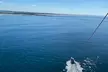 Gold Coast Parasailing – Tandem & Triple Flights - Second Medium