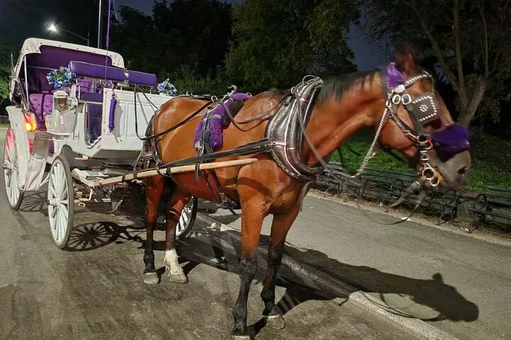 Full loop Private Horse Carriage Ride in Central Park 45 Minutes